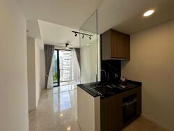 Irwell Hill Residences (D9), Apartment #624154561